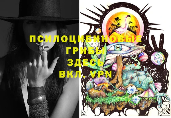 дурь Кодинск