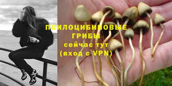 дурь Кодинск