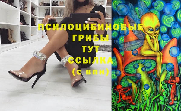 герыч Козловка